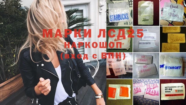 ECSTASY Алзамай
