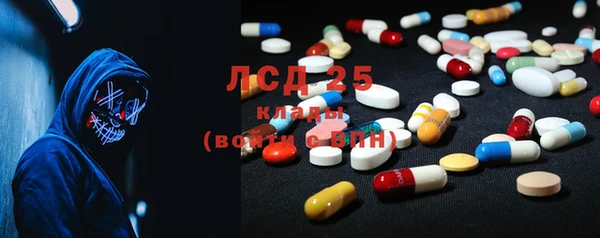 ECSTASY Алзамай