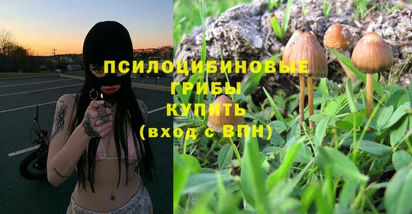 хмурый Алексеевка
