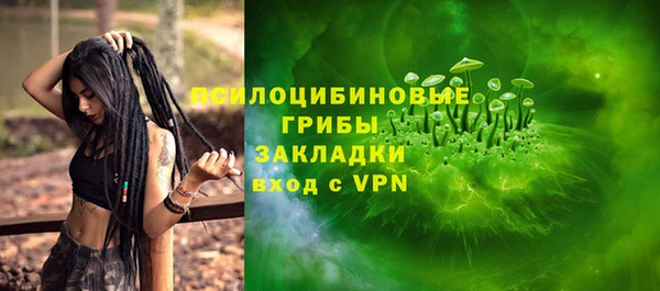 ECSTASY Алзамай