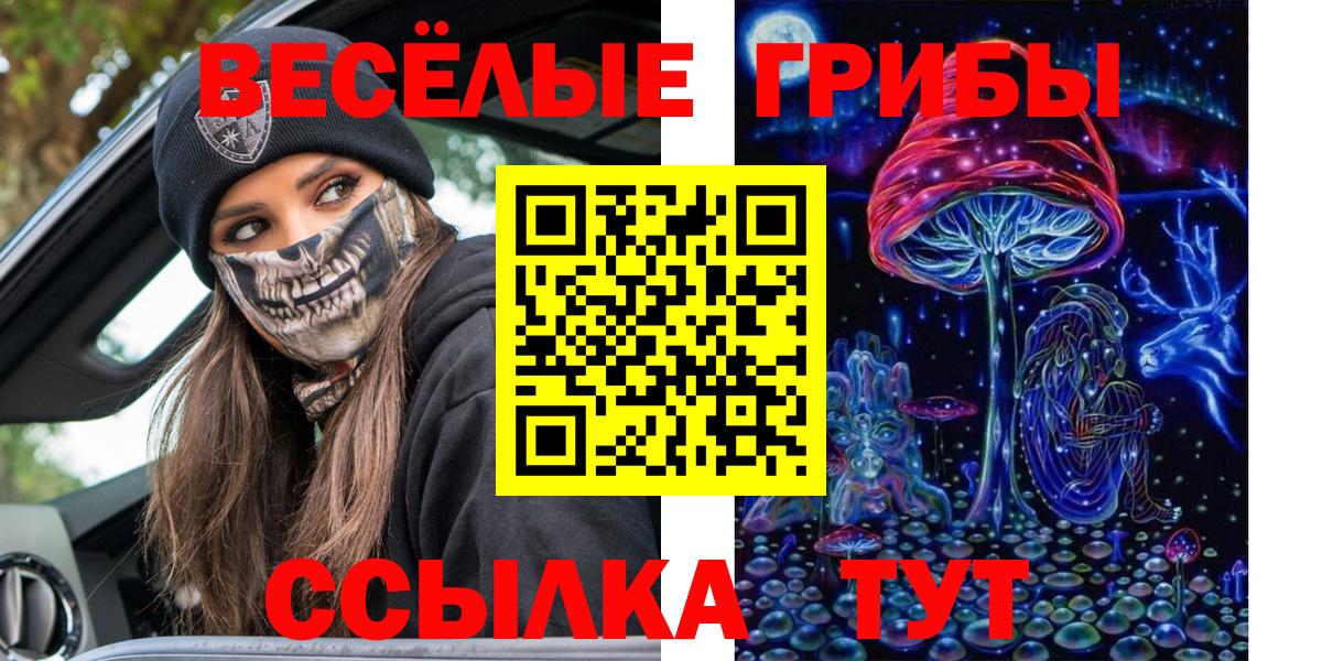 Галлюциногенные грибы прущие грибы  Вход с VPN  Боровичи  Псилоцибиновые грибы Cubensis 